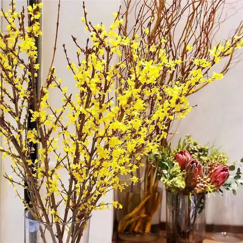 开花干枝寸寸金水培鲜切花植物插花新鲜枝条真花摆件室内客厅