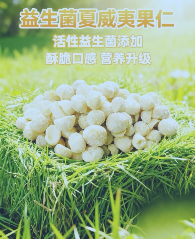 夏威夷果仁奶香味