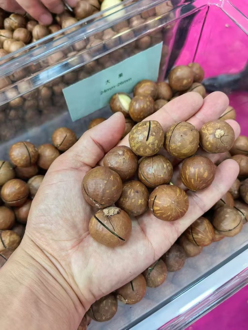 夏威夷果奶香味电商货新货