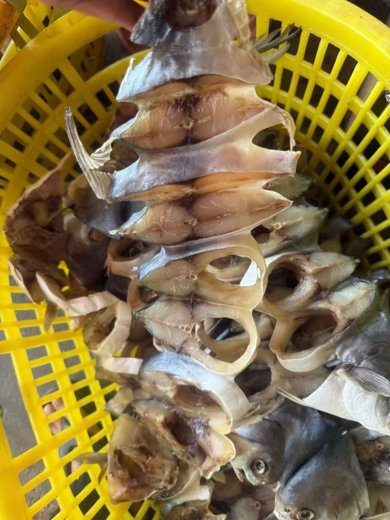 广东湛江特产金鲳鱼干