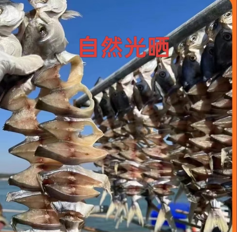 广东湛江特产金鲳鱼干