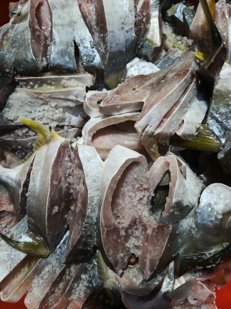 广东湛江特产金鲳鱼干