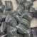 小叶化石草
