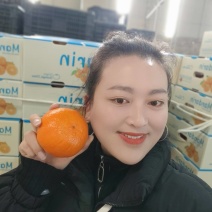 《云南宾川沃柑》基地现摘现发/市场/商超/全国/出口