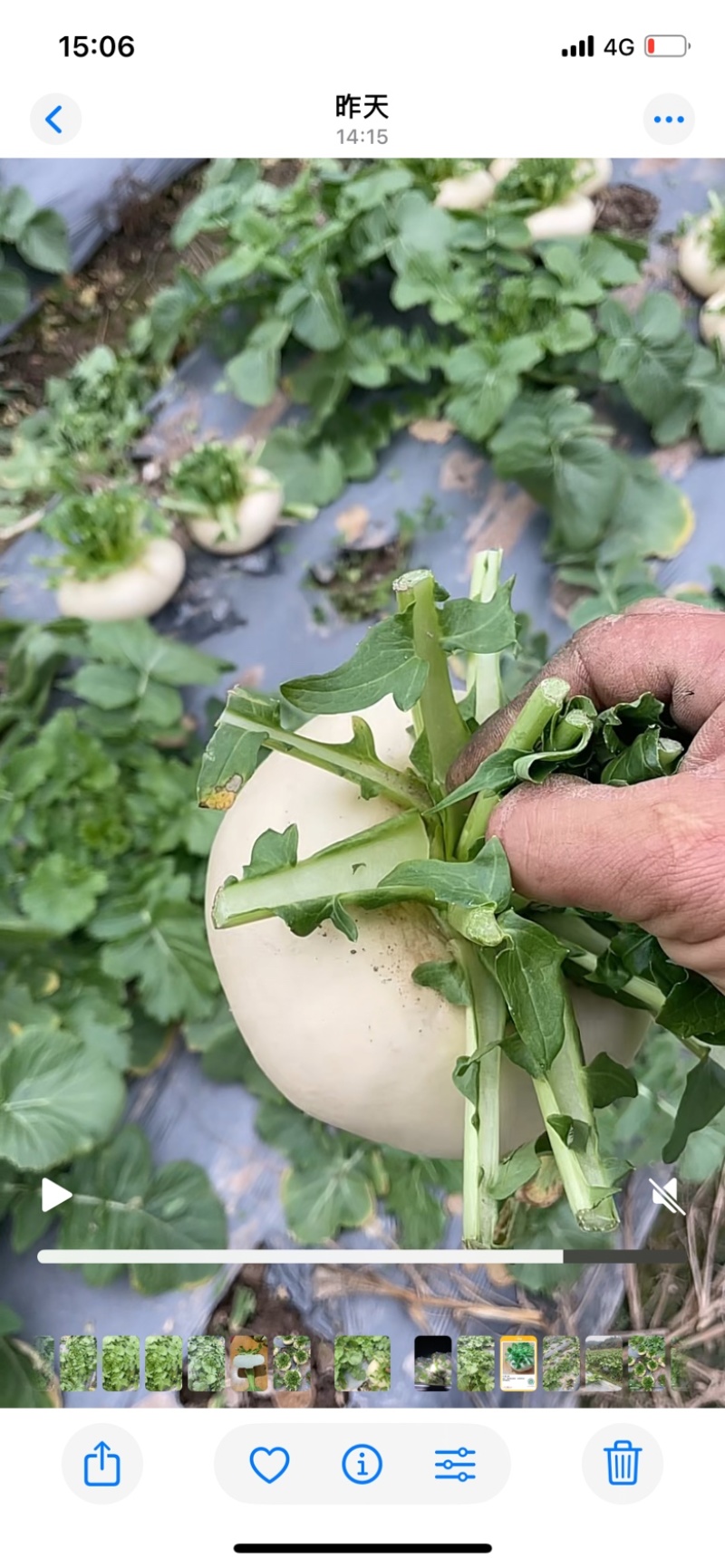 仙居精品盘菜