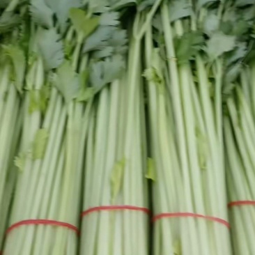 蔬菜产地直销