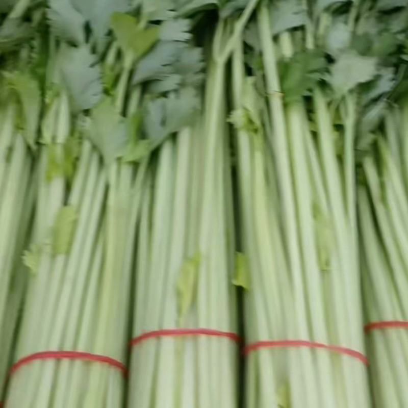 蔬菜产地直销