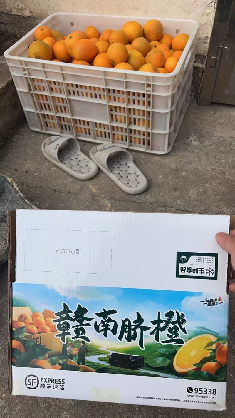 赣南脐橙江西广东湖北湖南安徽上海江苏浙江福建顺丰包邮