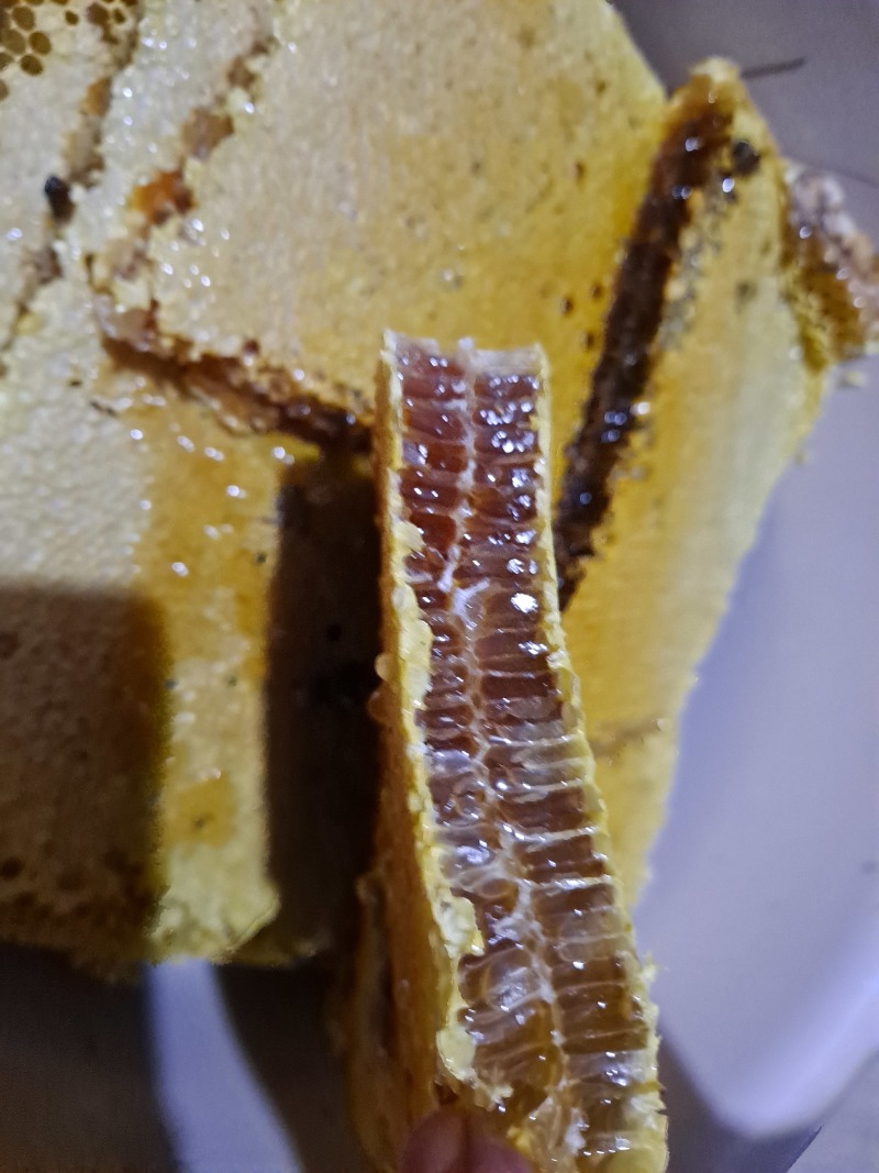 广西金秀深山土蜂蜜农家自产天然成熟蜜***原蜜批发