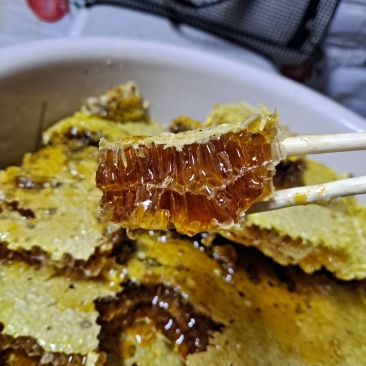广西金秀深山土蜂蜜农家自产天然成熟蜜***原蜜批发