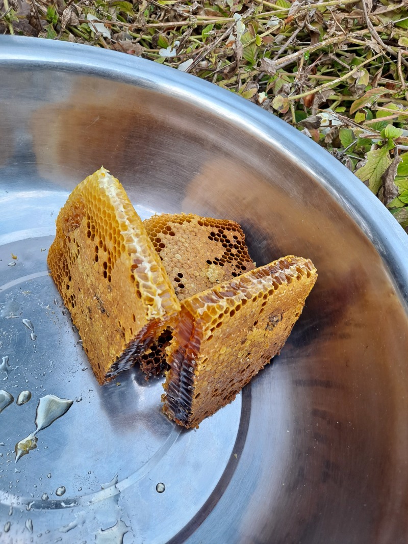 广西金秀深山土蜂蜜农家自产天然成熟蜜***原蜜批发
