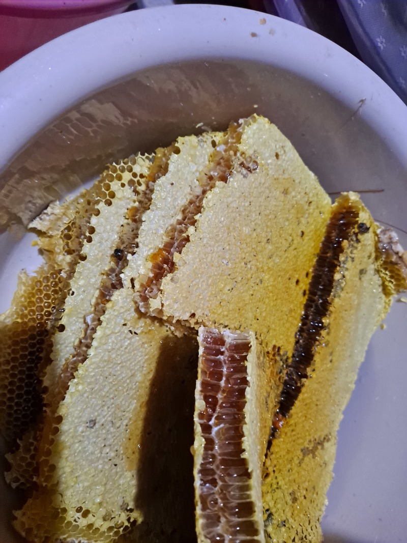 广西金秀深山土蜂蜜农家自产天然成熟蜜***原蜜批发