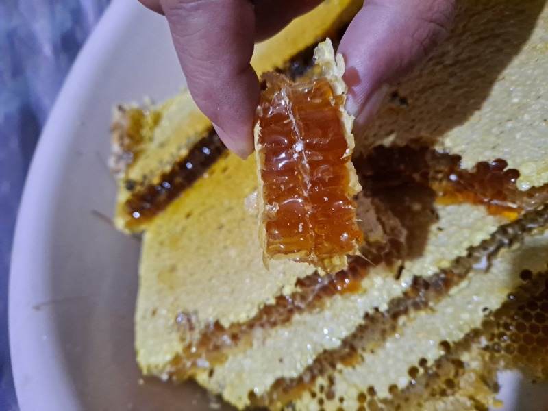 广西金秀深山土蜂蜜农家自产天然成熟蜜***原蜜批发