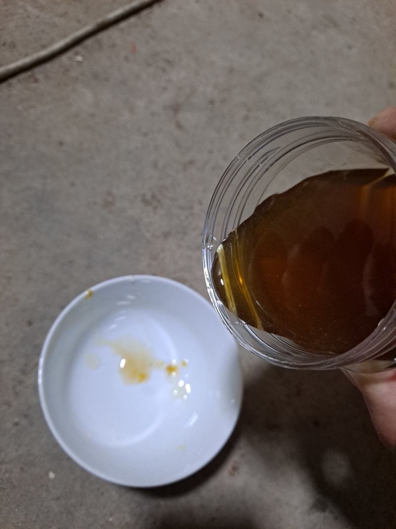广西金秀深山土蜂蜜农家自产天然成熟蜜***原蜜批发