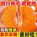【一件代发】四川春见柑桔耙耙柑支持各大电商平台