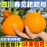 【柑桔】四川春见耙耙柑支持一件代发可视频看货对接全国