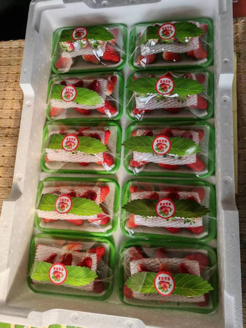 河北草莓天仙醉草莓货源充足价格实惠支持定制包装