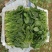 （精）滑县小叶菠菜两排半20斤精装欢迎咨询电联