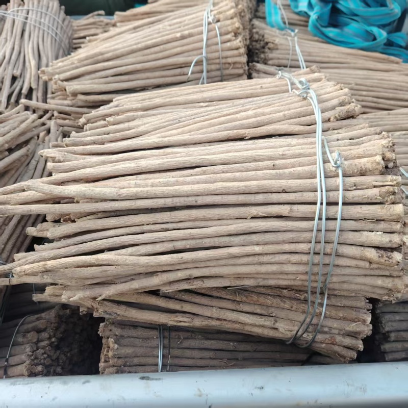 精品黄芪条产地直发量大从优质量保证欢迎咨询