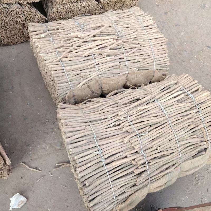 精品黄芪条产地直发量大从优质量保证欢迎咨询