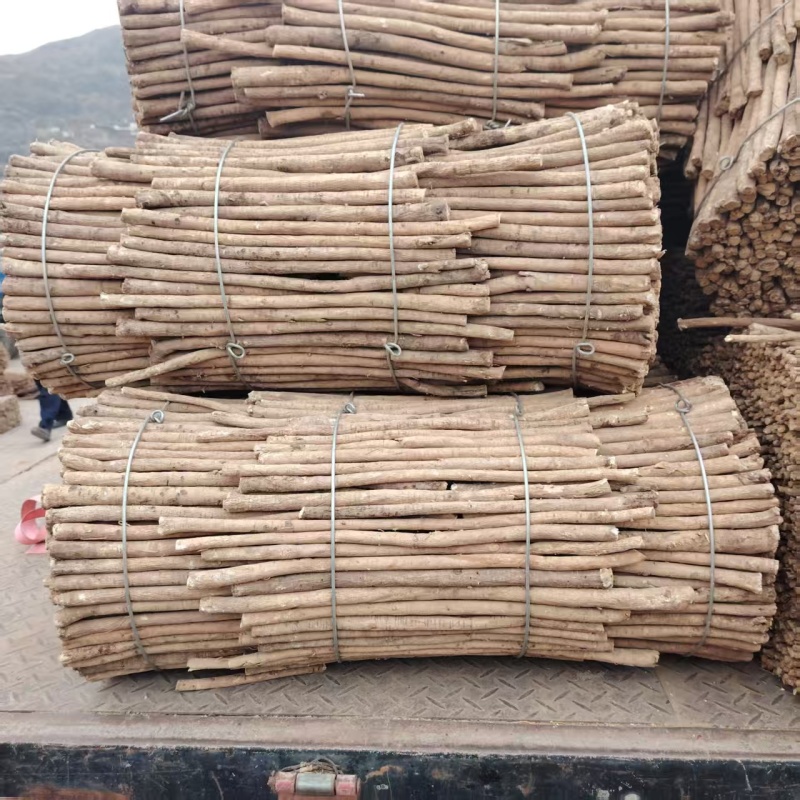 精品黄芪条产地直发量大从优质量保证欢迎咨询