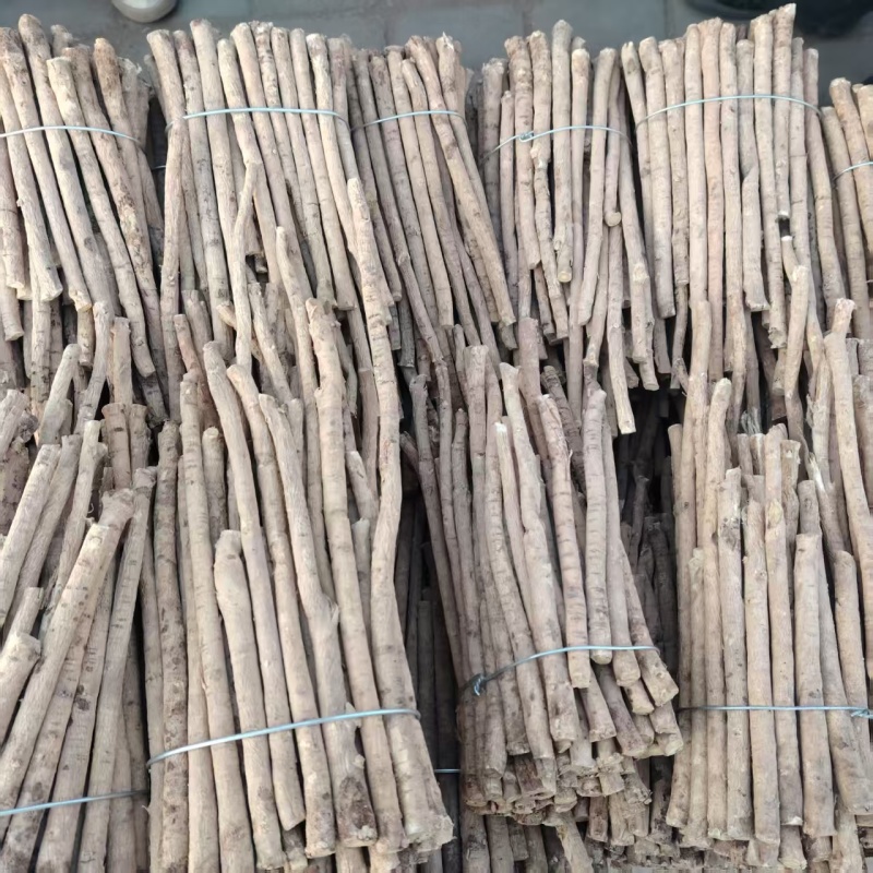 精品黄芪条产地直发量大从优质量保证欢迎咨询
