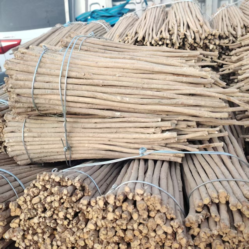 精品黄芪条产地直发量大从优质量保证欢迎咨询