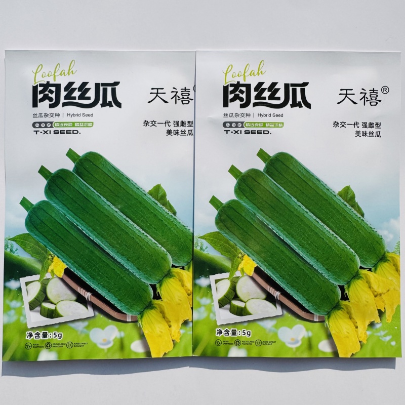 天禧肉丝瓜种籽长棒型丝瓜种子杂交强雌型大肉丝瓜种子春秋