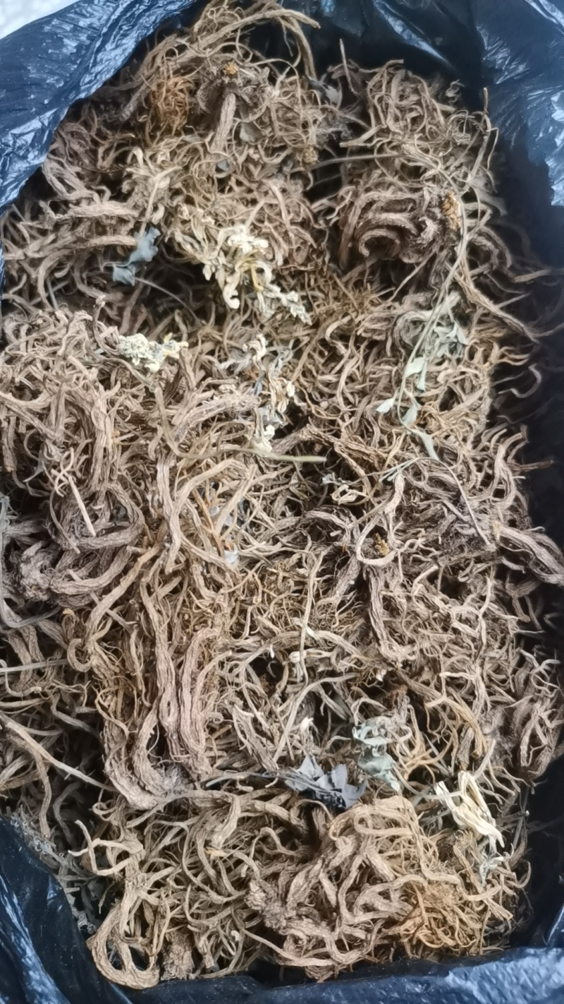 岩黄连，全根，干品