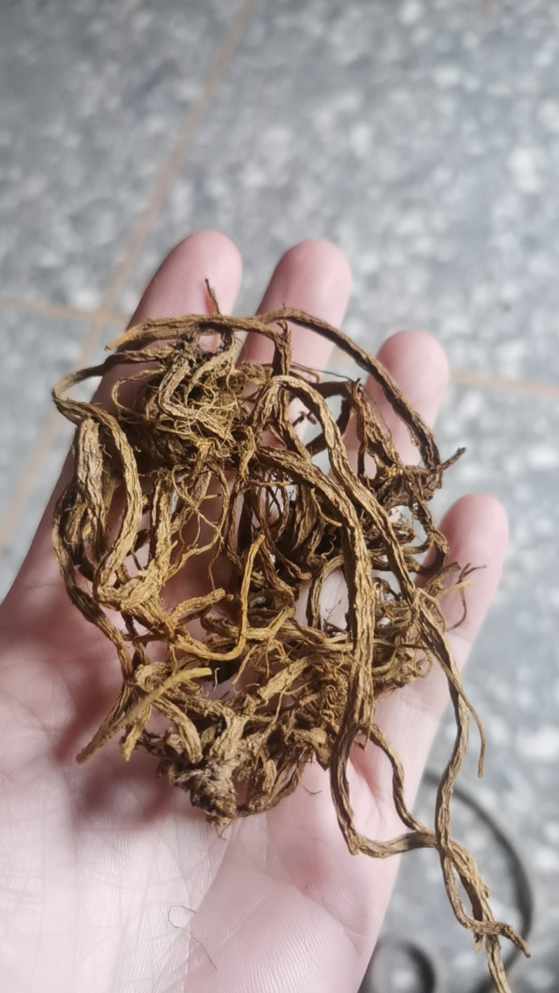 岩黄连，全根，干品