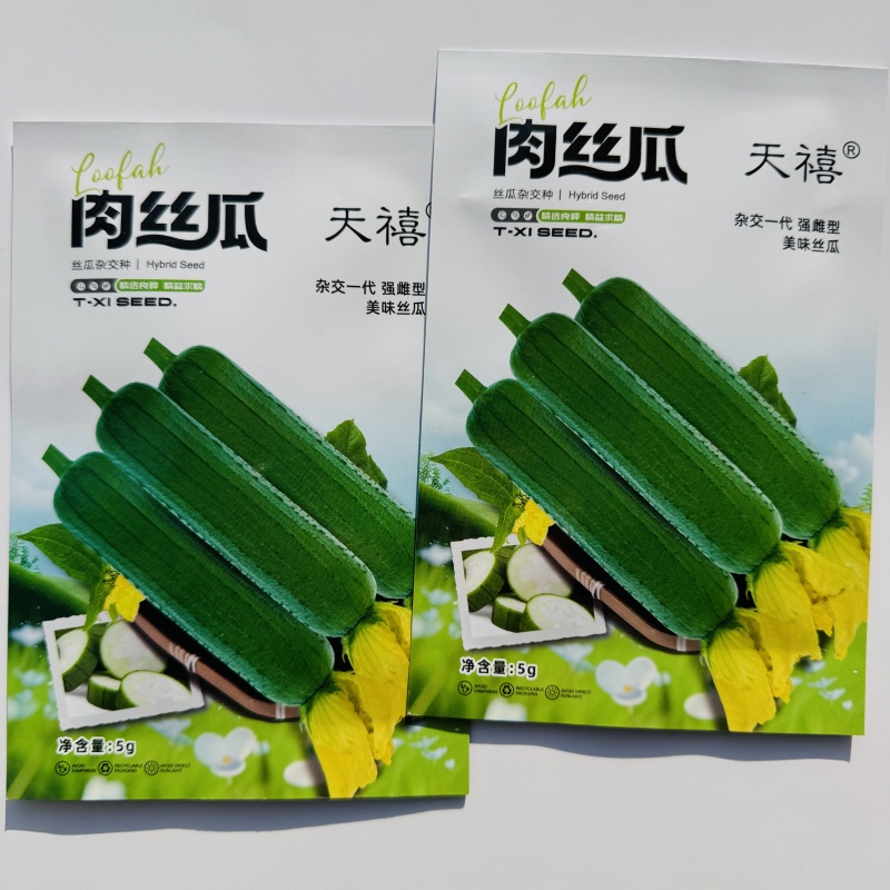 天禧肉丝瓜种籽长棒型丝瓜种子杂交强雌型大肉丝瓜种子春秋