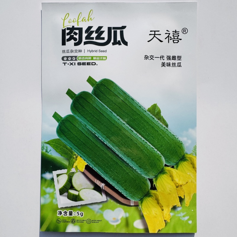天禧肉丝瓜种籽长棒型丝瓜种子杂交强雌型大肉丝瓜种子春秋