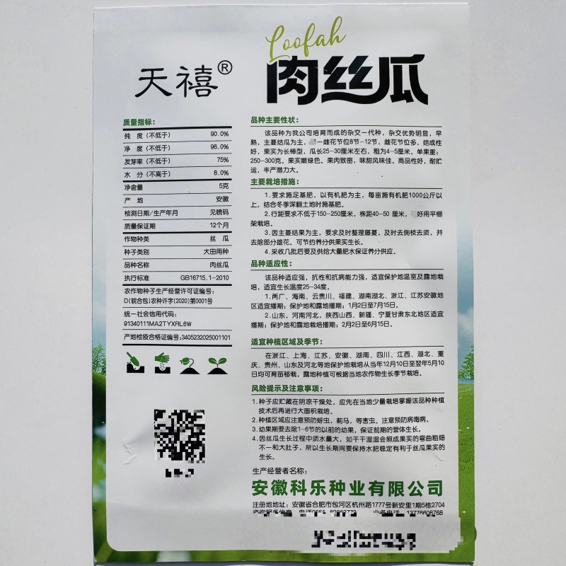 天禧肉丝瓜种籽长棒型丝瓜种子杂交强雌型大肉丝瓜种子春秋