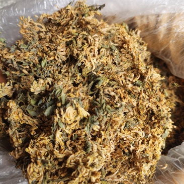 岩黄连，全花，**花