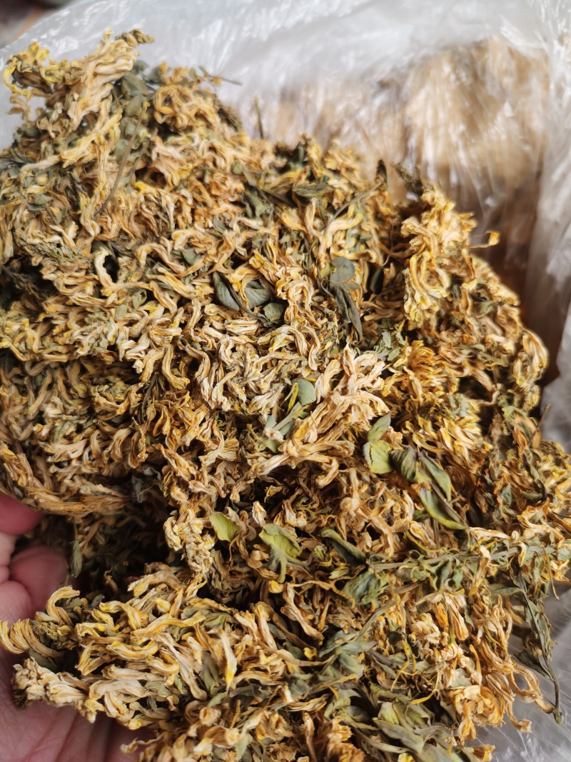 岩黄连，全花，**花