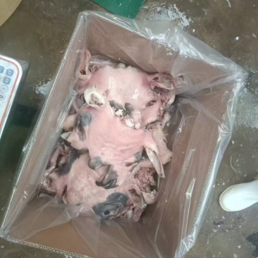 花羊脸