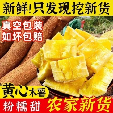 一件代发广西新鲜现挖黄心木薯批发鸡蛋黄肉面包