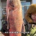 查干湖野生鱼