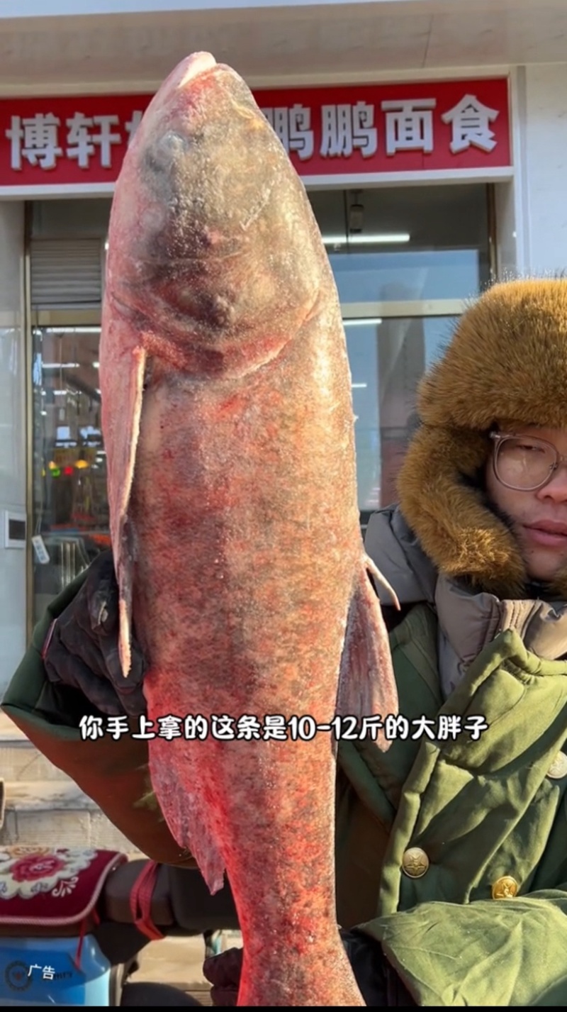 查干湖野生鱼