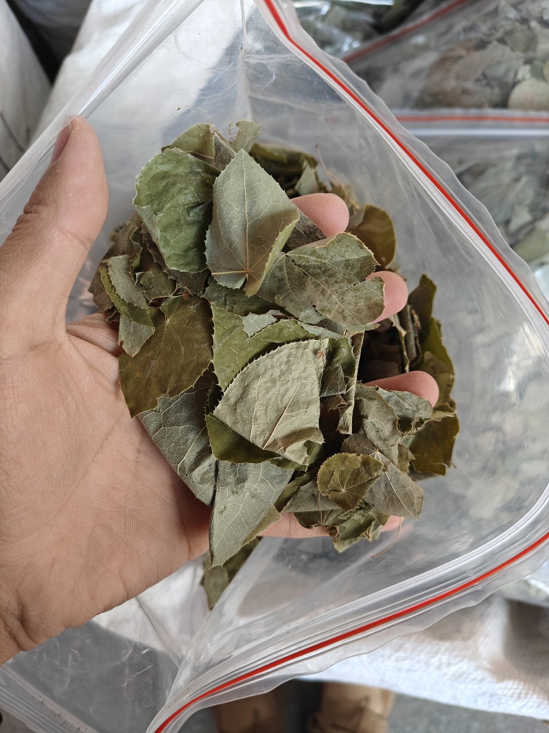 淫羊藿野生甘肃淫羊藿品质保证干货东北淫羊霍仙灵