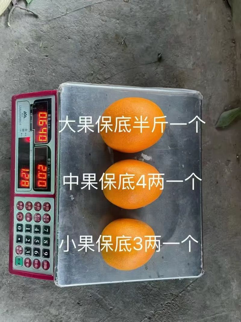 纽荷尔脐橙，自家种植，新鲜采摘，纯甜化渣，味道很好。