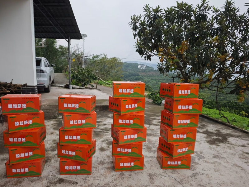 纽荷尔脐橙，自家种植，新鲜采摘，纯甜化渣，味道很好。
