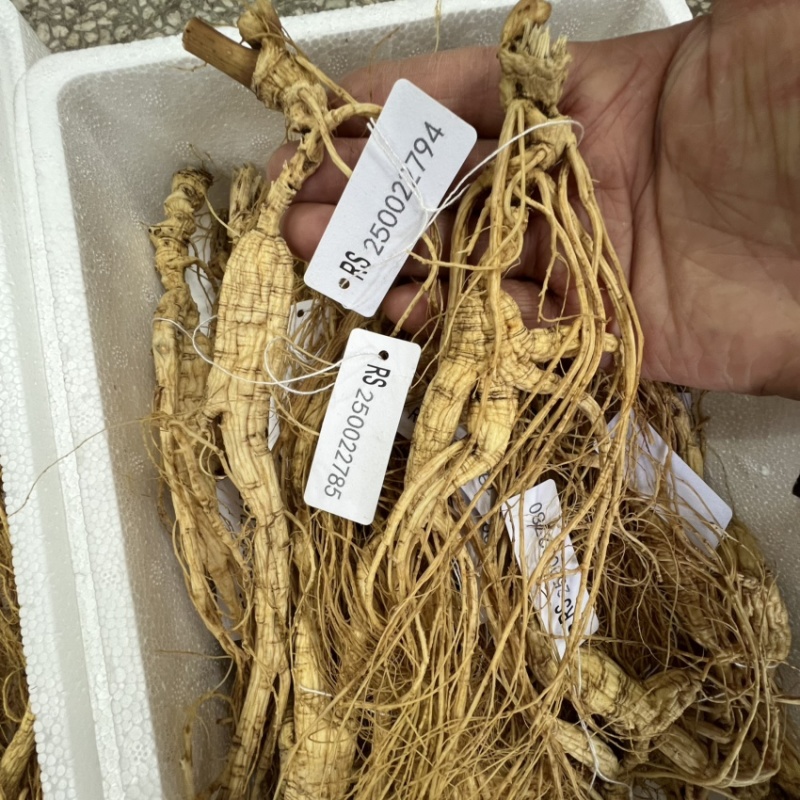 林下参省检一等15克以上，年货奖品60板—80板带皮礼盒