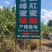 洞口县雪峰蜜桔