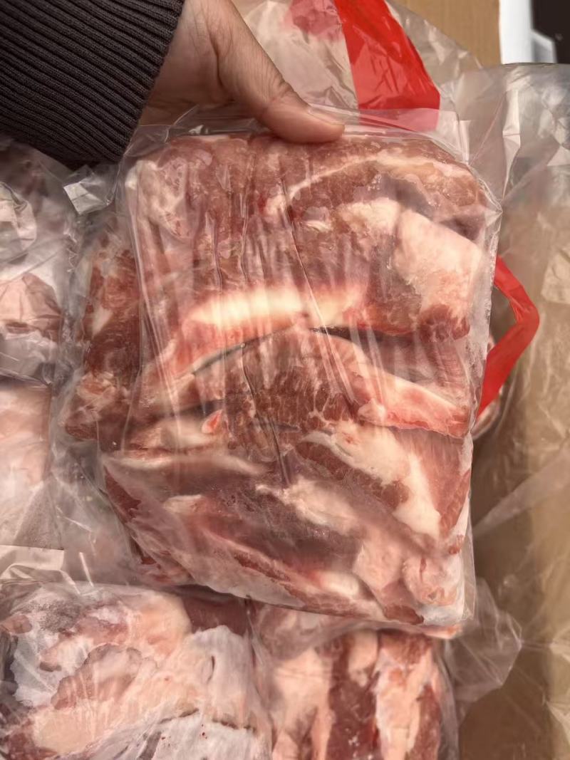 国产月亮骨