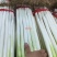 南阳钢葱，豫南沃土孕育的优品好葱。葱白粗壮紧实、专业供应