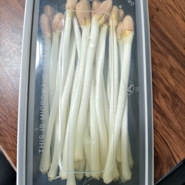 花生芽