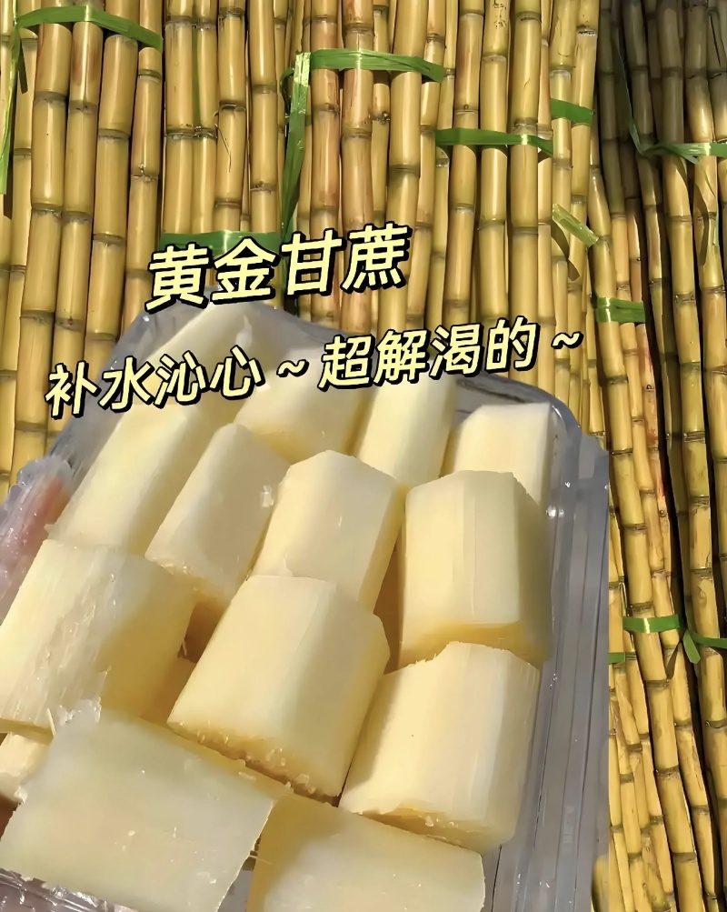 广西粤翠/金翠黄皮甘蔗大量有货基地直供品质优可视频看货
