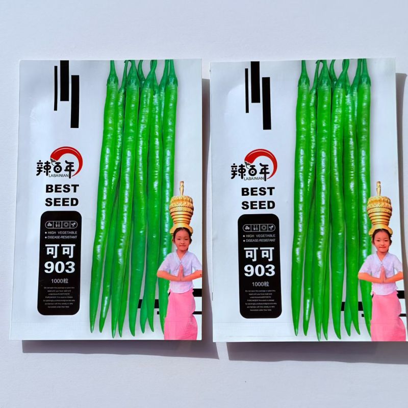 苏润辣百年可可903线椒种子亮绿浓辣顺直早熟高产商品性