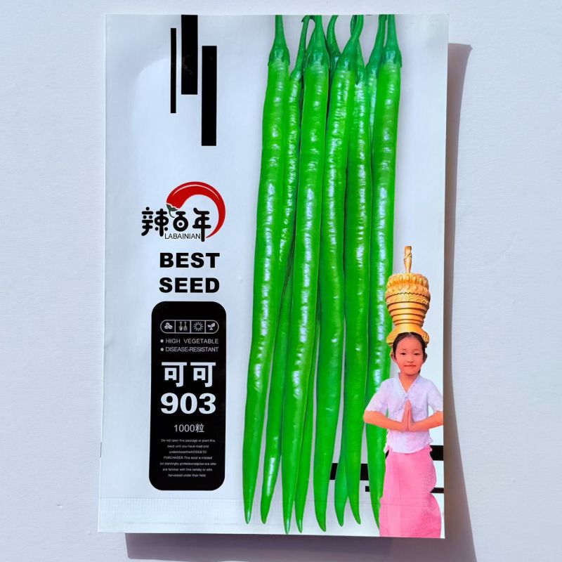 苏润辣百年可可903线椒种子亮绿浓辣顺直早熟高产商品性